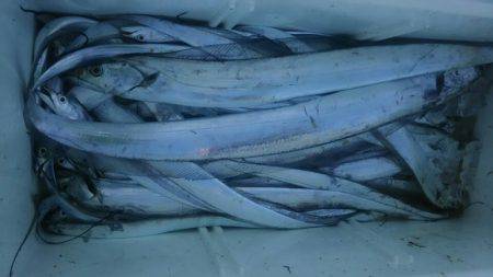 サンマリン 釣果