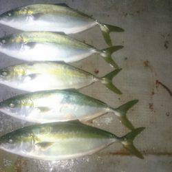 FISHING RISKY 釣果