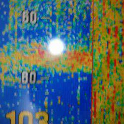 サンマリン 釣果