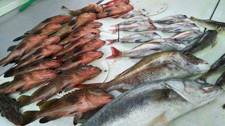 タイラバ遊漁船 ワンピース 釣果