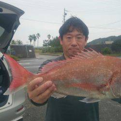 だて丸 釣果