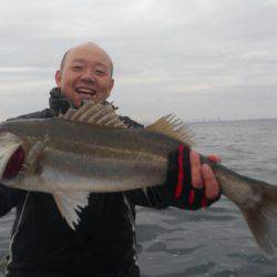 THESEAMAN(ザシーマン) 釣果