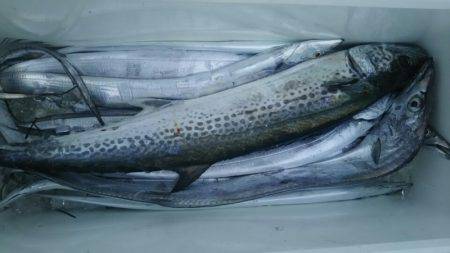 サンマリン 釣果