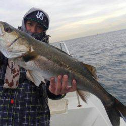 THESEAMAN(ザシーマン) 釣果