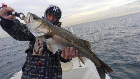 THESEAMAN(ザシーマン) 釣果