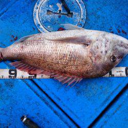 海龍丸（石川） 釣果