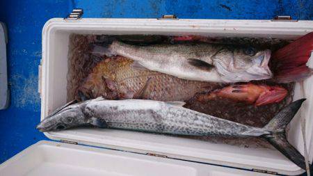 海龍丸（石川） 釣果