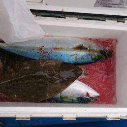 海龍丸（石川） 釣果