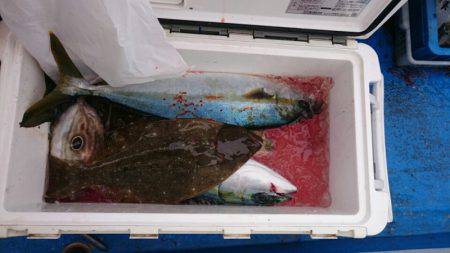 海龍丸（石川） 釣果