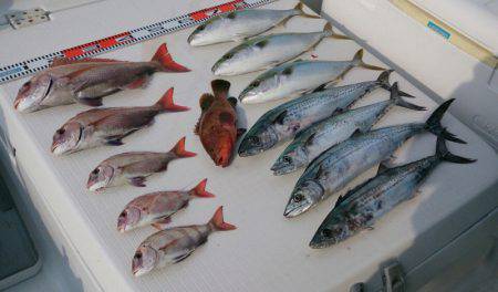 遊漁船 家入 釣果