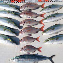 遊漁船　家入 釣果