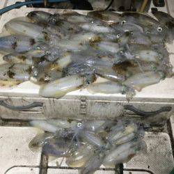 Monster Rush! 釣果