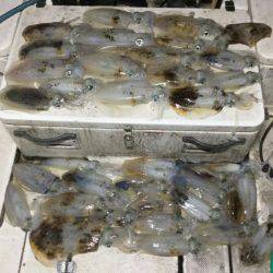 Monster Rush! 釣果