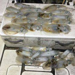 Monster Rush! 釣果