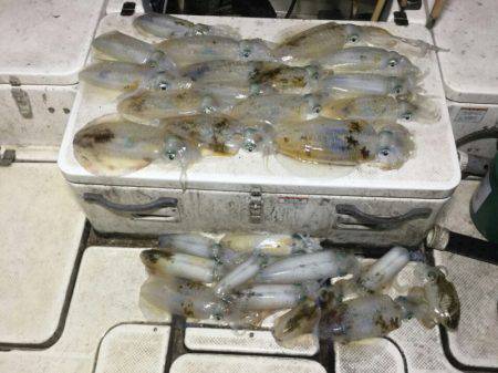 Monster Rush! 釣果