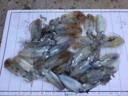 Monster Rush! 釣果