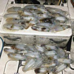 Monster Rush! 釣果