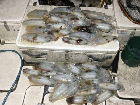 Monster Rush! 釣果