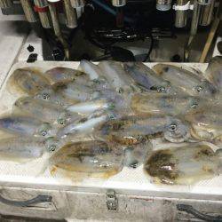 Monster Rush! 釣果