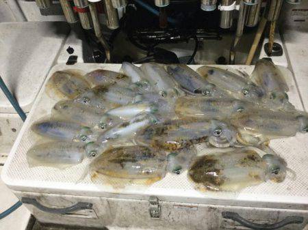 Monster Rush! 釣果