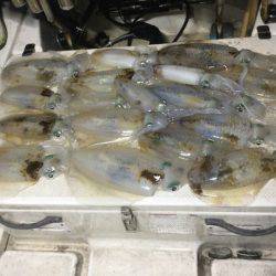 Monster Rush! 釣果