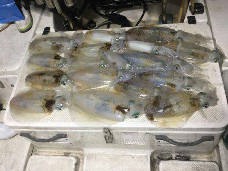 Monster Rush! 釣果