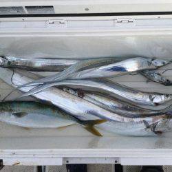 Monster Rush! 釣果