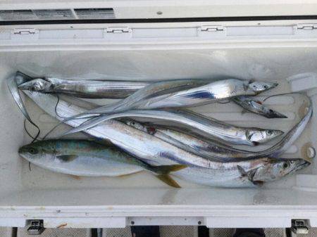 Monster Rush! 釣果