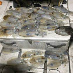 Monster Rush! 釣果