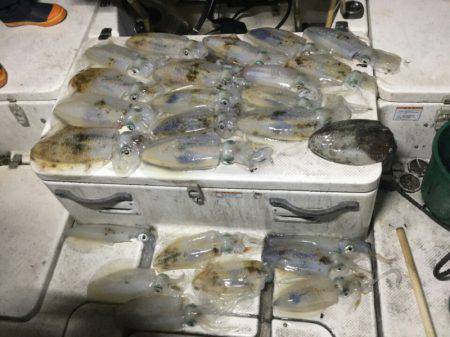 Monster Rush! 釣果