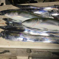 Monster Rush! 釣果