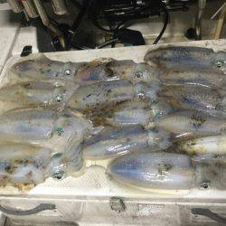 Monster Rush! 釣果