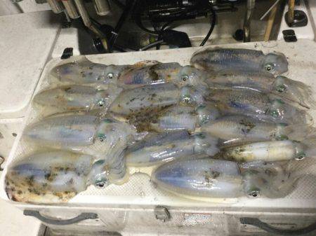 Monster Rush! 釣果