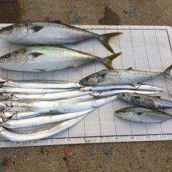 Monster Rush! 釣果