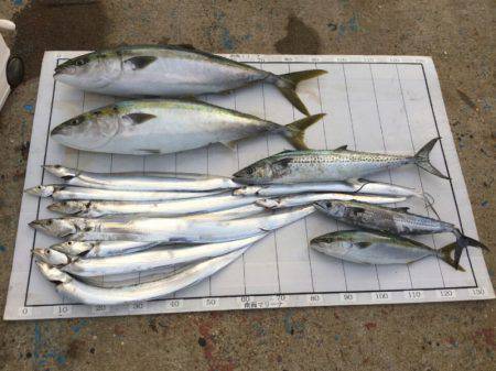 Monster Rush! 釣果