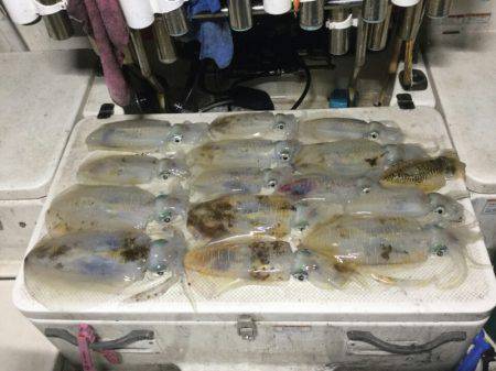 Monster Rush! 釣果