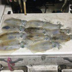 Monster Rush! 釣果