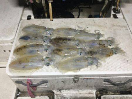 Monster Rush! 釣果