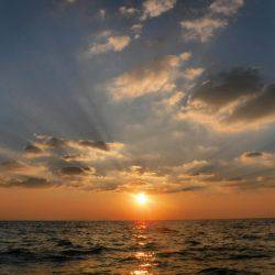 ブルースフィッシングサービス 釣果