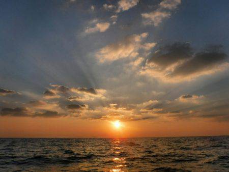 ブルースフィッシングサービス 釣果