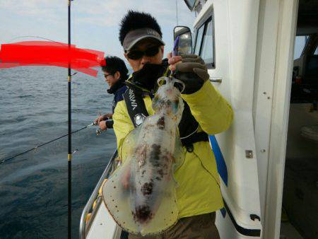 きずなまりん 釣果
