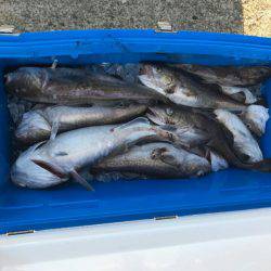 海龍丸（石川） 釣果