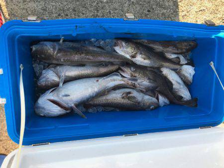 海龍丸（石川） 釣果