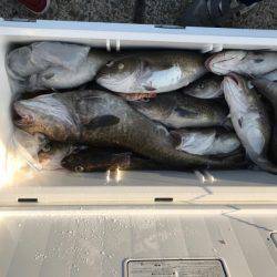 海龍丸（石川） 釣果