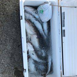 海龍丸（石川） 釣果