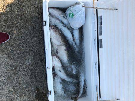 海龍丸（石川） 釣果