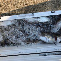 海龍丸（石川） 釣果