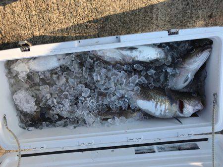 海龍丸（石川） 釣果