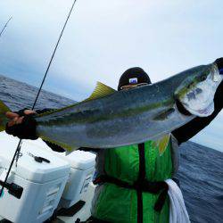 ブルドック 釣果