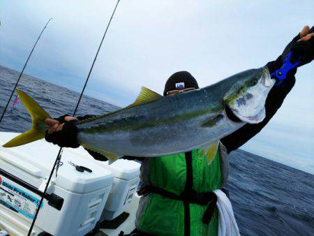 ブルドック 釣果